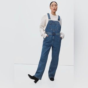 Everlane The Denim Overalls